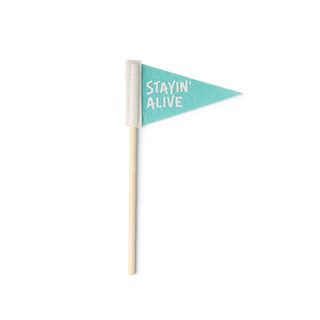 Seed & Sprout Rooting For You Plant Pennants