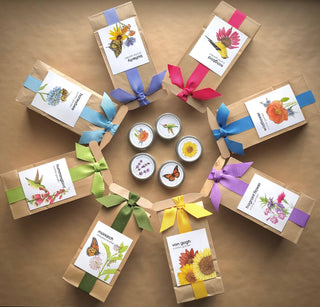Scatter Garden | Wildflower | Spring