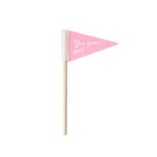 Seed & Sprout Rooting For You Plant Pennants