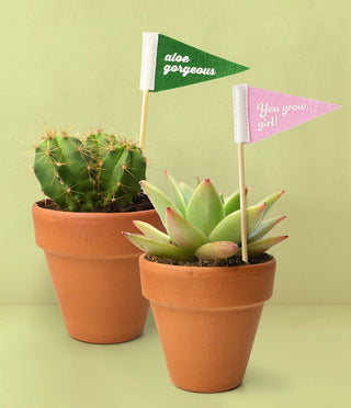Seed & Sprout Rooting For You Plant Pennants